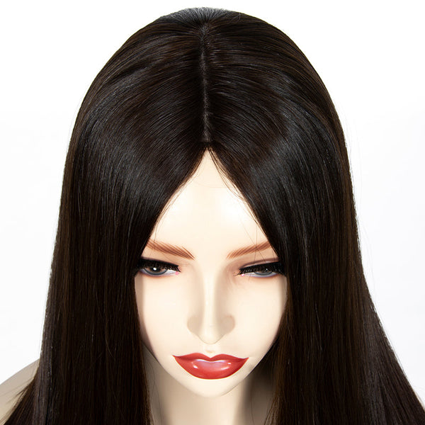 Jewish wigs European human hair Straight #2 color for women Kosher Wig and sheitel wigs 21822